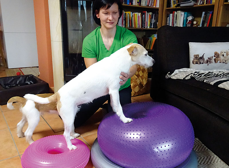 Foto von Monique Weigel-Dietzel von der Firma Tierphysiotherapie Hund & Katz