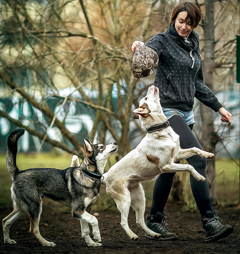 Foto von Tatjana Boschen, Husky-Rennen, Wandlitz