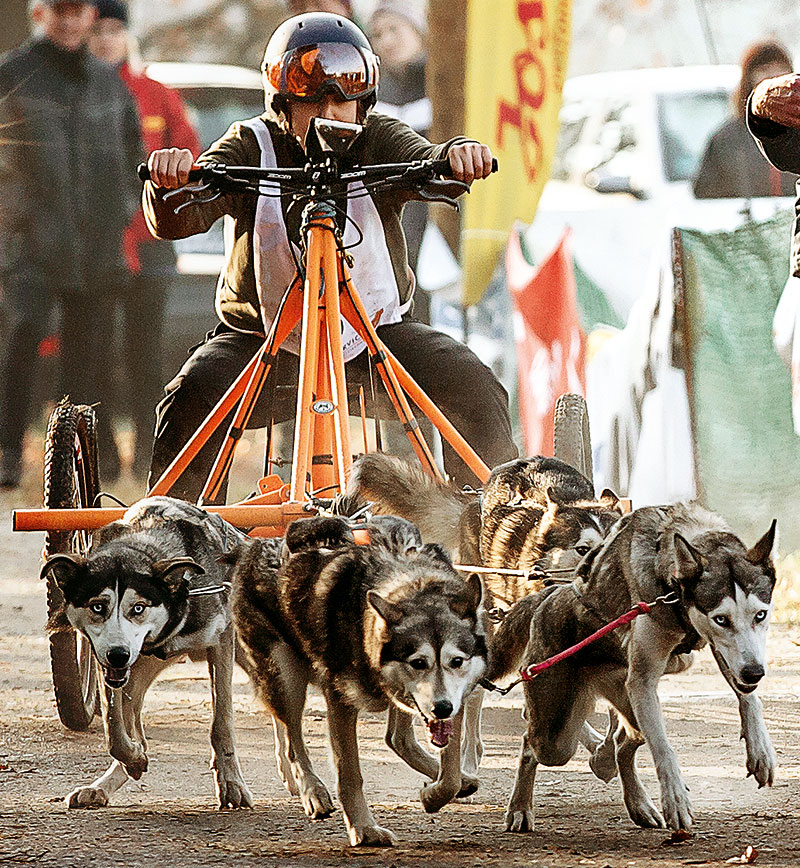 Foto von Tatjana Boschen, Husky-Rennen, Wandlitz