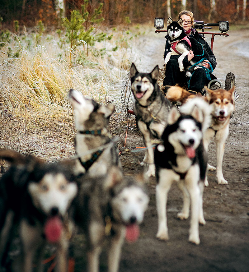 Foto von Tatjana Boschen, Husky-Rennen, Wandlitz