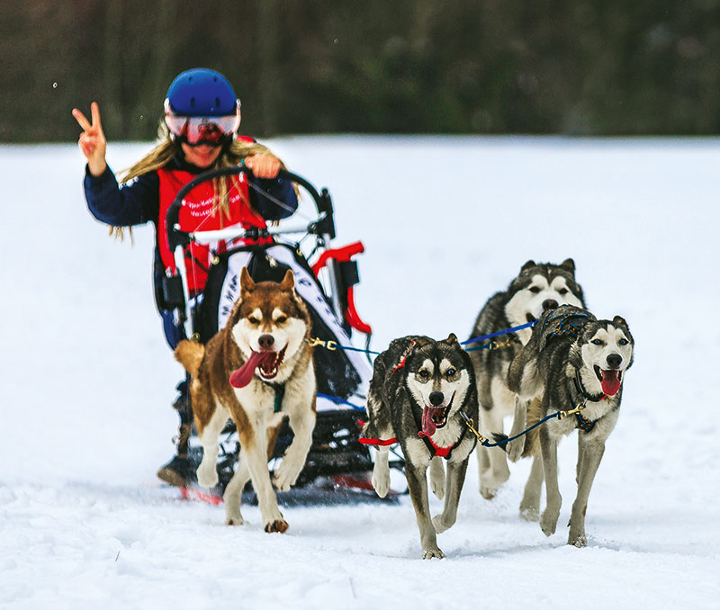 Foto von Tatjana Boschen, Husky-Rennen, Wandlitz