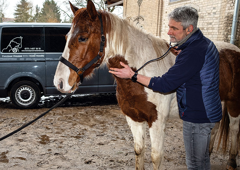 Foto von Lars Kockerbeck von der Firma Tierarztpraxis Lars Kockerbeck