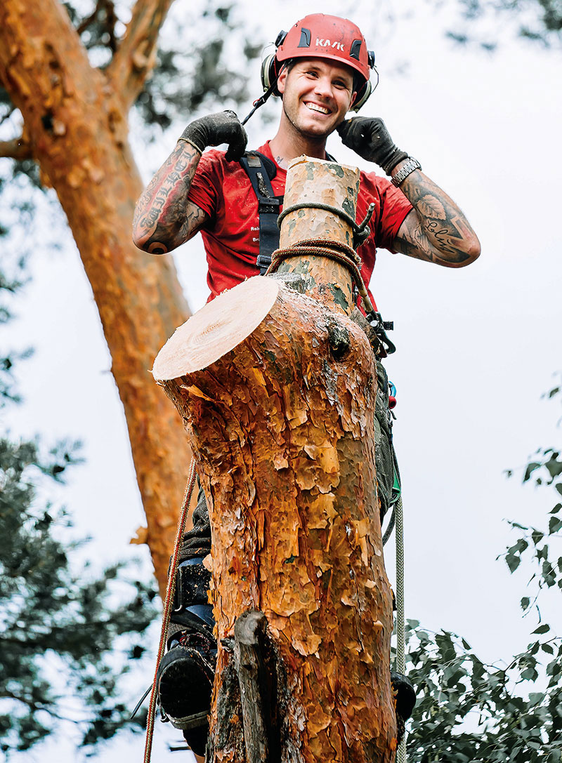 Foto von Manuel Wilhelm Schmidt von der Firma Baum Schmidt GmbH Fachbetrieb für Baum und Garten