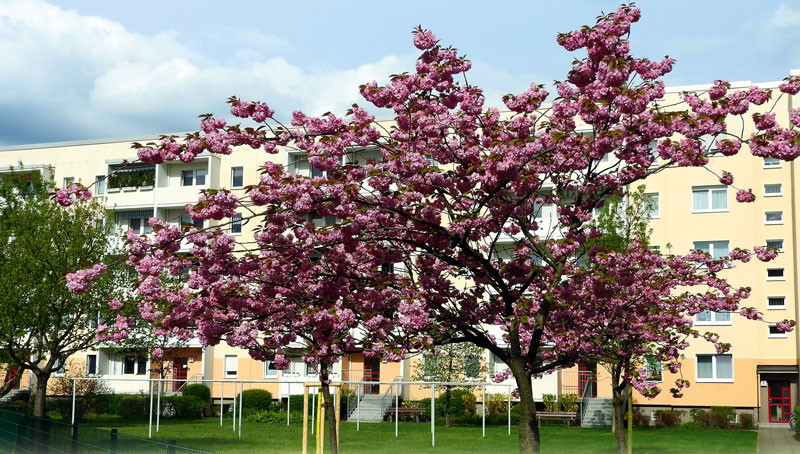 Foto von Steffen Kulessa von der Firma Wohnungsgenossenschaft „Havelblick“ eG