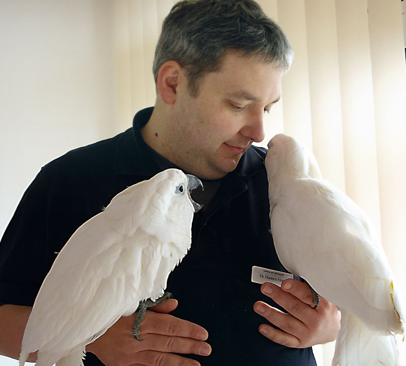 Foto von Dr. Hannes Rabe und Dr. Stephan Gericke von der Firma Tierärzte am Werderpark Dres. Rabe & Gericke