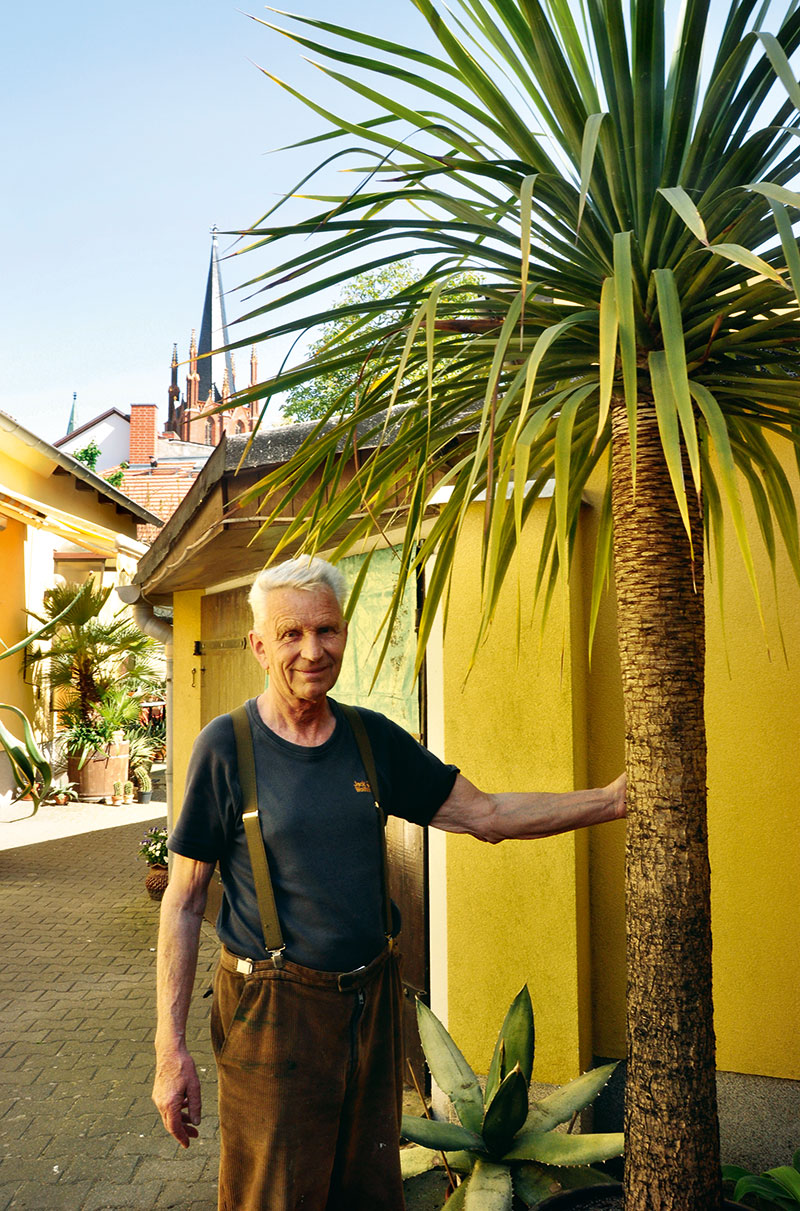 Foto von Klaus-Dieter Knecht, Agaven-Züchter, Werder