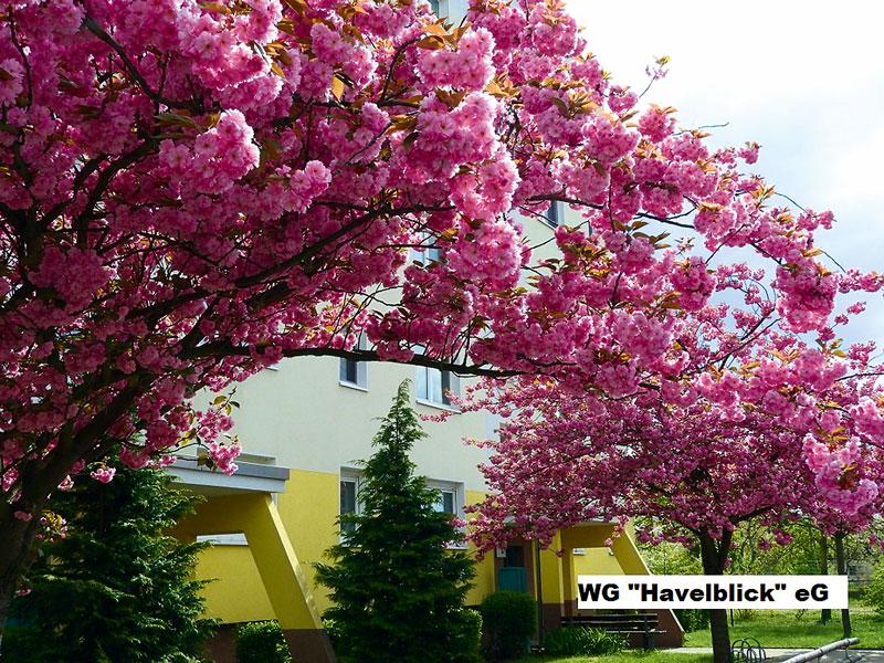 Foto von Steffen Kulessa und Maik Falkenthal von der Firma Wohnungsgenossenschaft „Havelblick“ eG