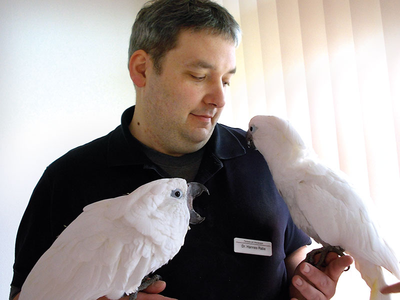 Foto von Dr. Hannes Rabe und Dr. Stephan Gericke von der Firma Tierärzte am Werderpark Dres. Rabe & Gericke