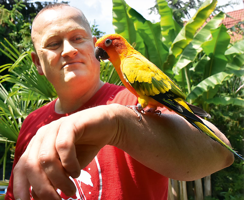 Foto von Mike Grunewald, Papageien-Züchter, Werder