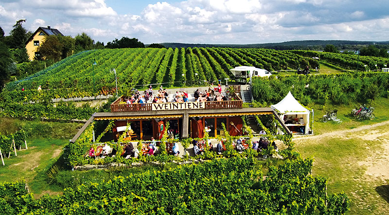 Foto von Dr. Manfred Lindicke von der Firma Weinbau Dr. Manfred Lindicke