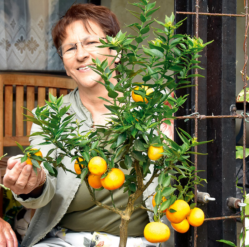 Foto von Renate Hauch und Michael Hauch, Privater „Botanischer Garten“, Werder