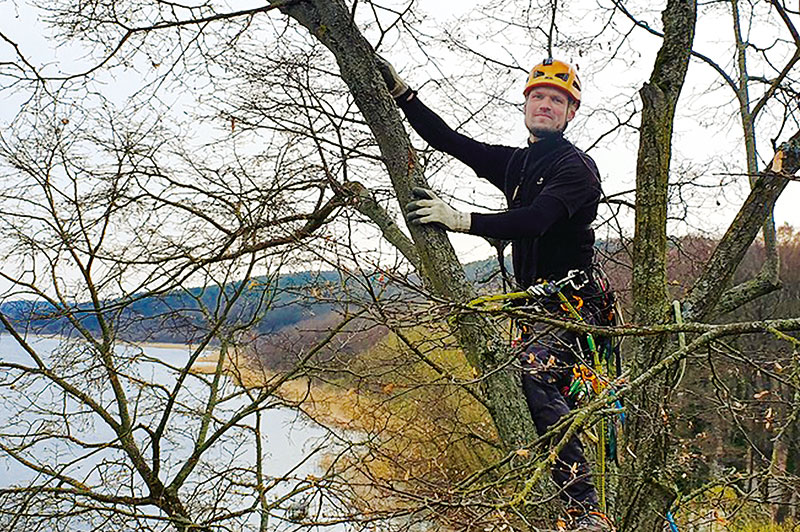 Foto von Daniel Ertel von der Firma Baumpflegerei Daniel Ertel