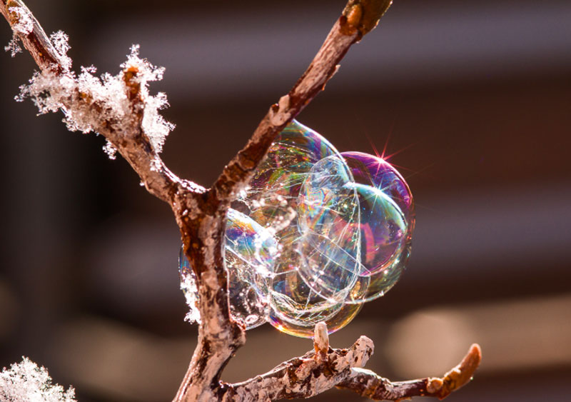 Foto von Klaus Schröter, Fotoclub Schwarz-Weiß, Wildau