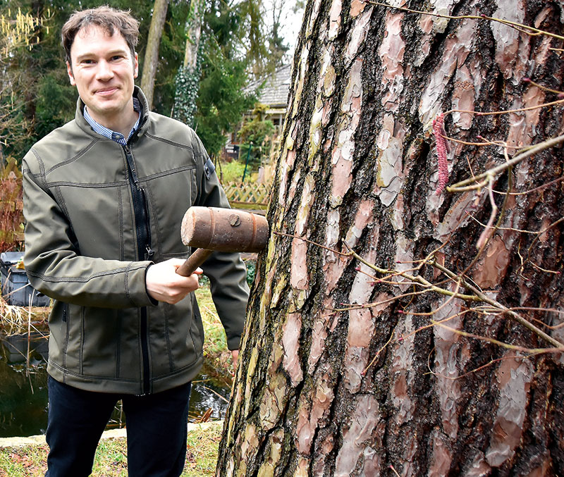 Foto von Henning Widelak, „Baumflüsterer“, Wildau