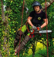 Foto von Philipp Hein von der Firma Squirrels Baumpflege
