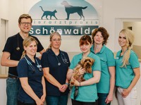 Foto von Tobias Haubner von der Firma Tierarztpraxis Schönwalde