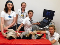 Foto von Theresa Brzezinski und Sabrina Wolfgram von der Firma Die Tierarztpraxis Brieselang