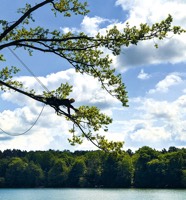 Foto von Jannis Böttcher von der Firma Treeletics Baumpflege